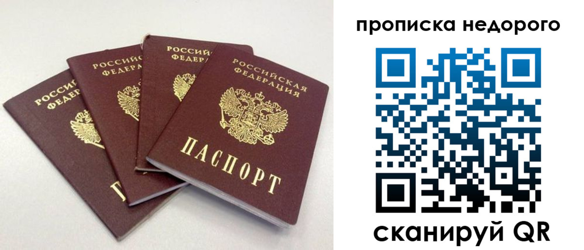 прописка законно в Алатыре